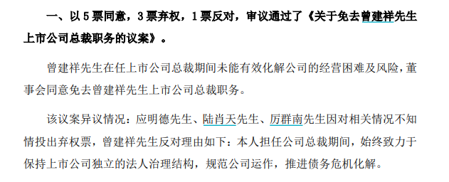 图片来源:公司公告截图