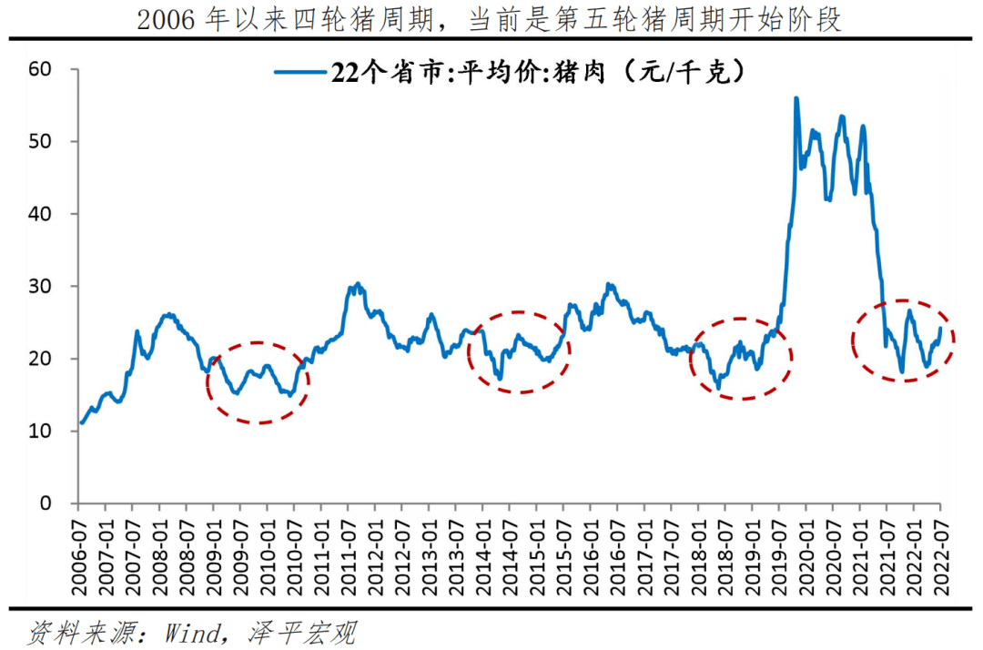 任泽平：猪周期的逻辑与展望