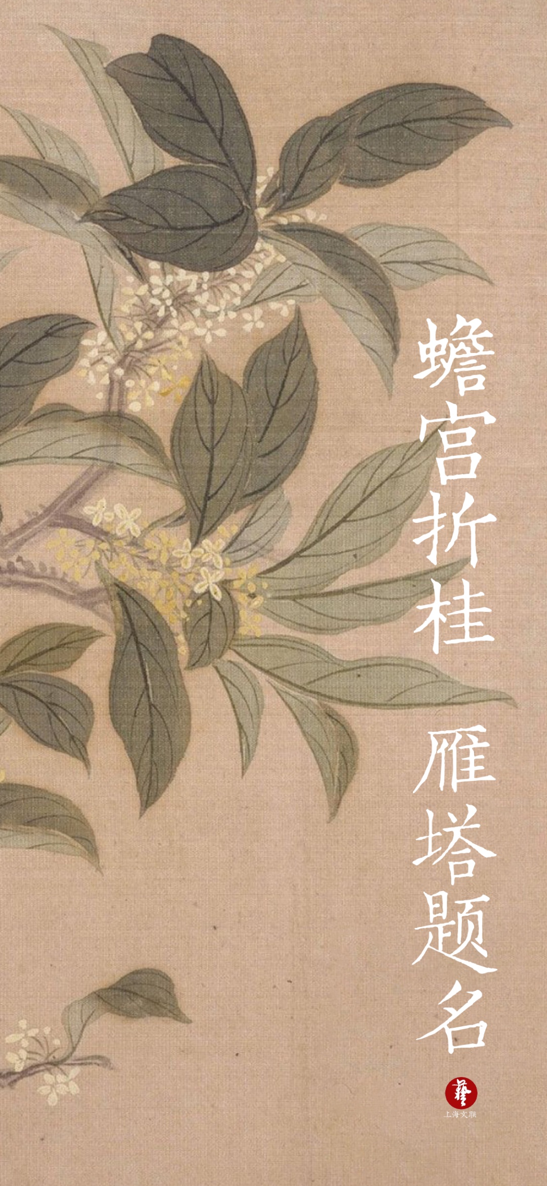 蟾宫折桂雁塔题名送给即将踏上征途的每一个你