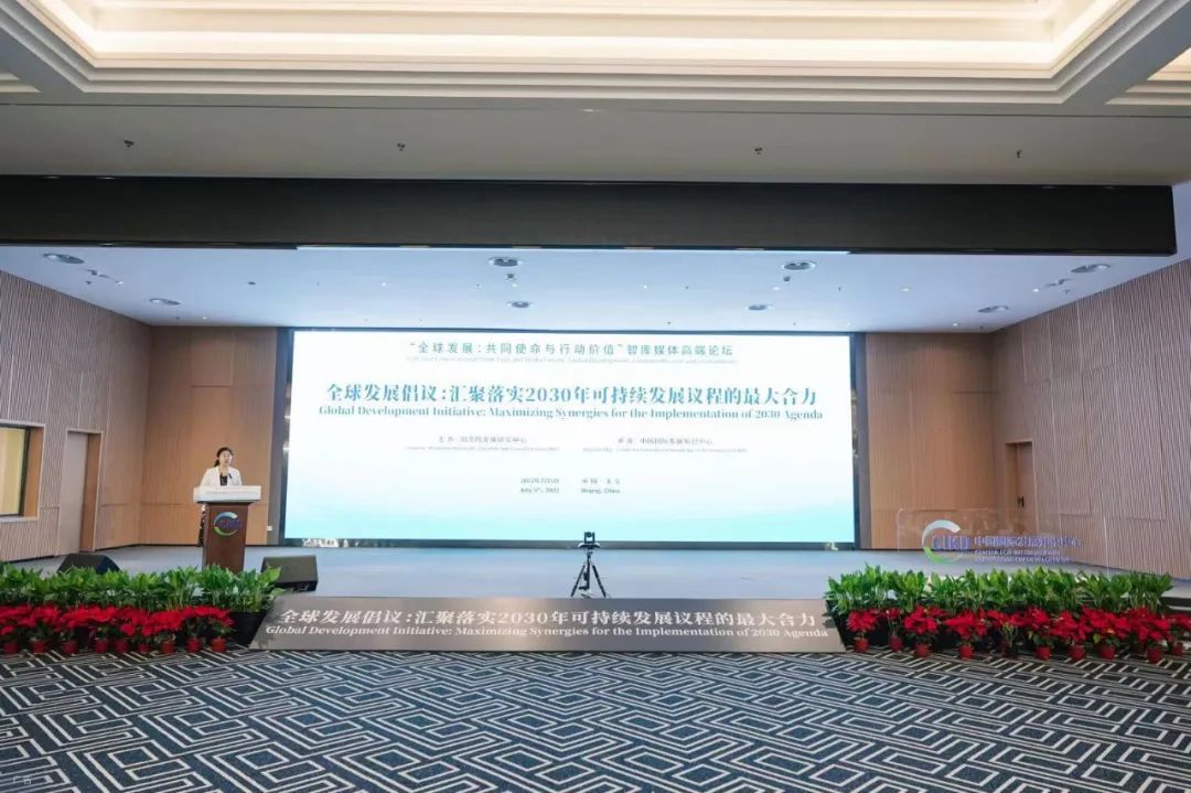“全球发展倡议:汇聚落实2030年可持续发展议程的最大合力”论坛现场