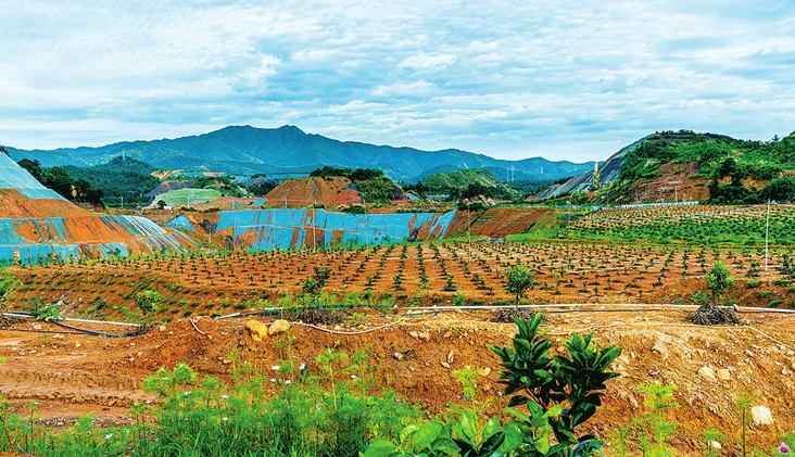 江西赣州信丰小江镇:"煤镇"变"美镇" 转型更富民