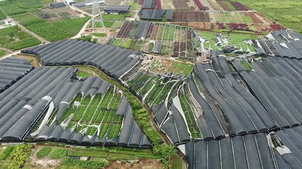 　　广州花都龙卷风受灾画面