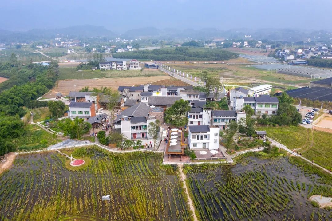 改造后的七塘镇莲花穴