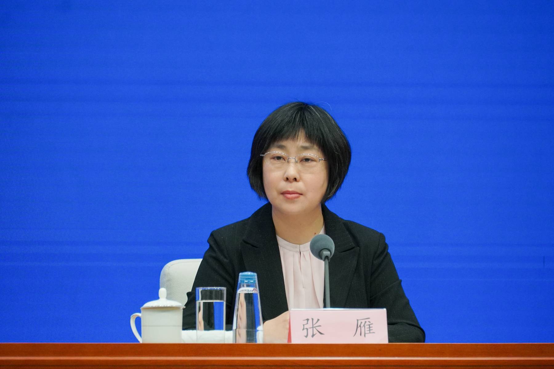 住房和城乡建设部建筑节能与科技司负责人张雁  澎湃新闻记者