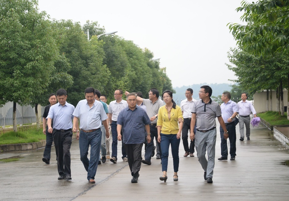 　　(中国工程院院士张伯礼考察东阳光冬虫夏草项目)