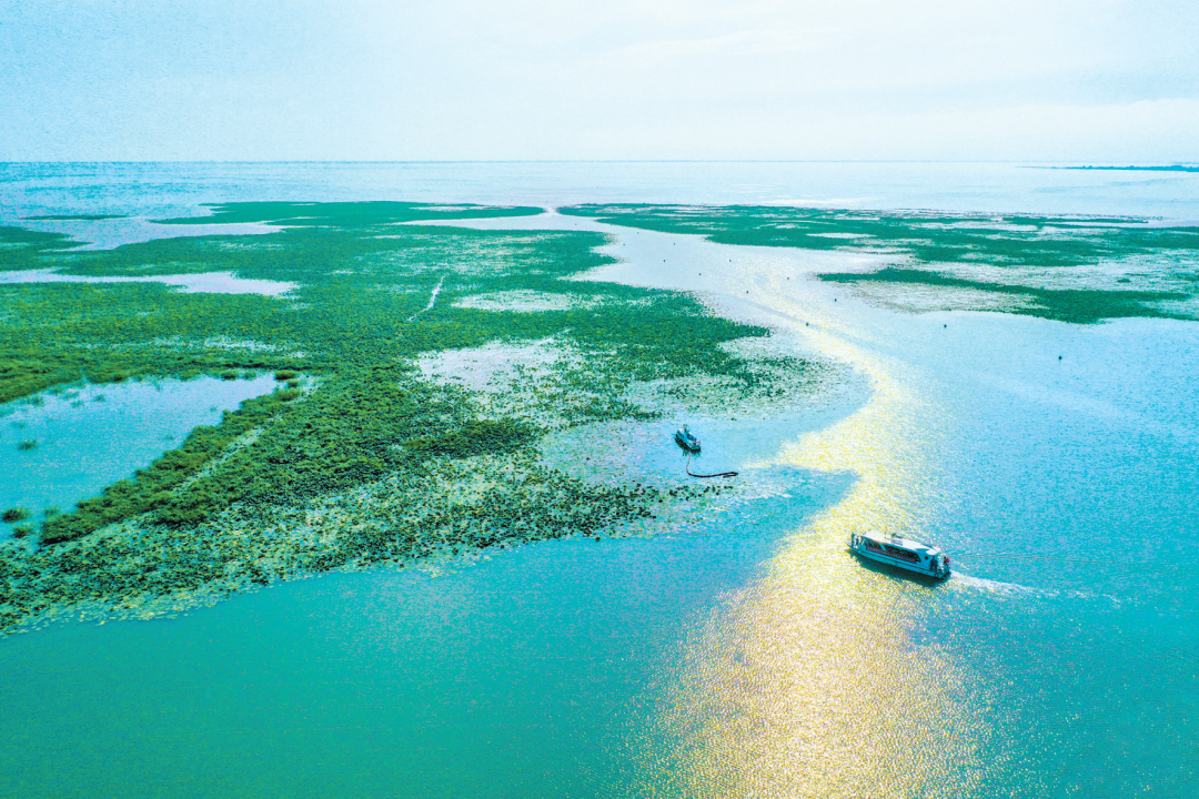 ���ʪ�ع��Ҽ���Ȼ��������Ф�� ��