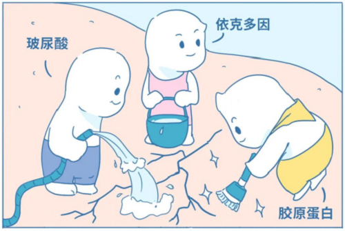 　　图片来源于丁香医生设计团队