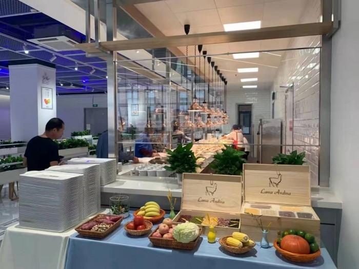 　　图/品牌方提供