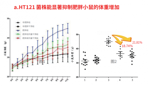 　　(动物对照实验数据)