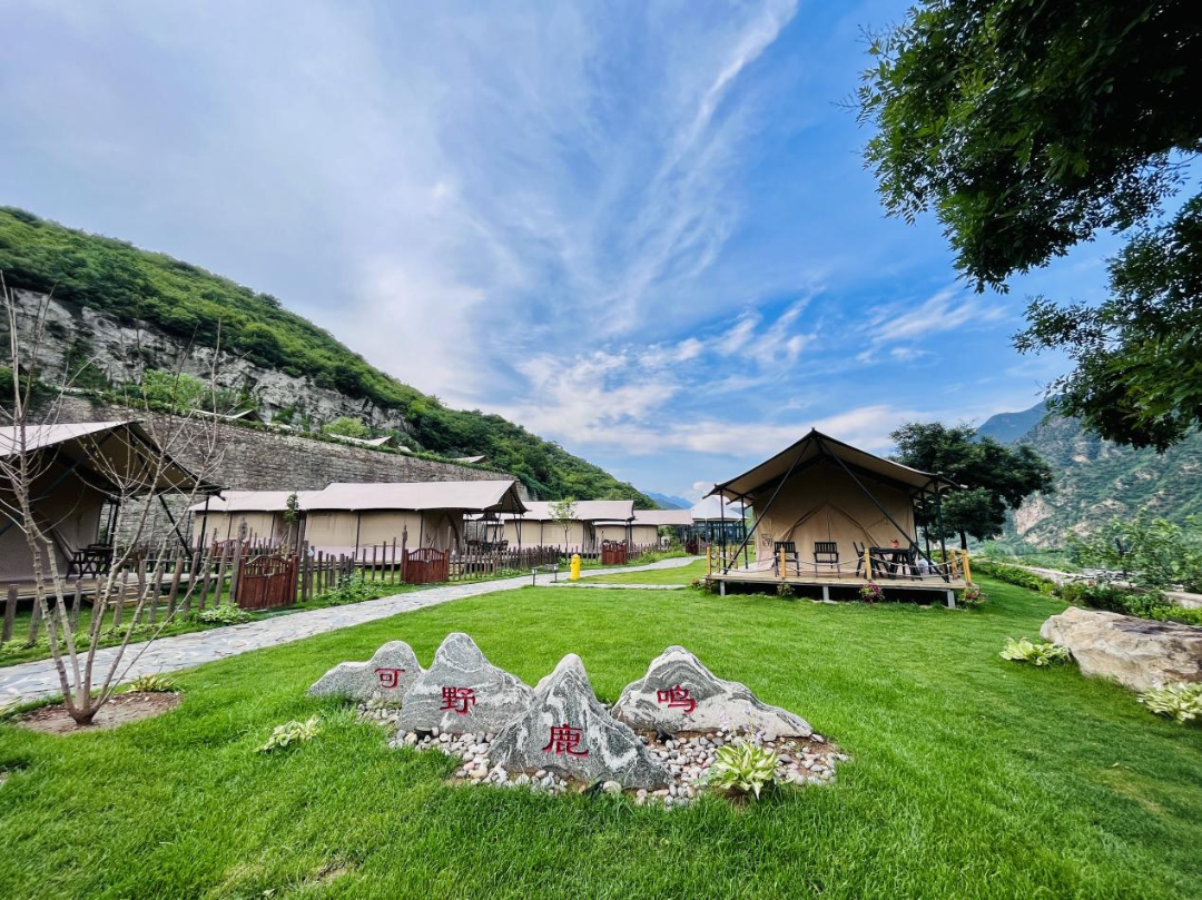 蓝天白云下的露营基地.