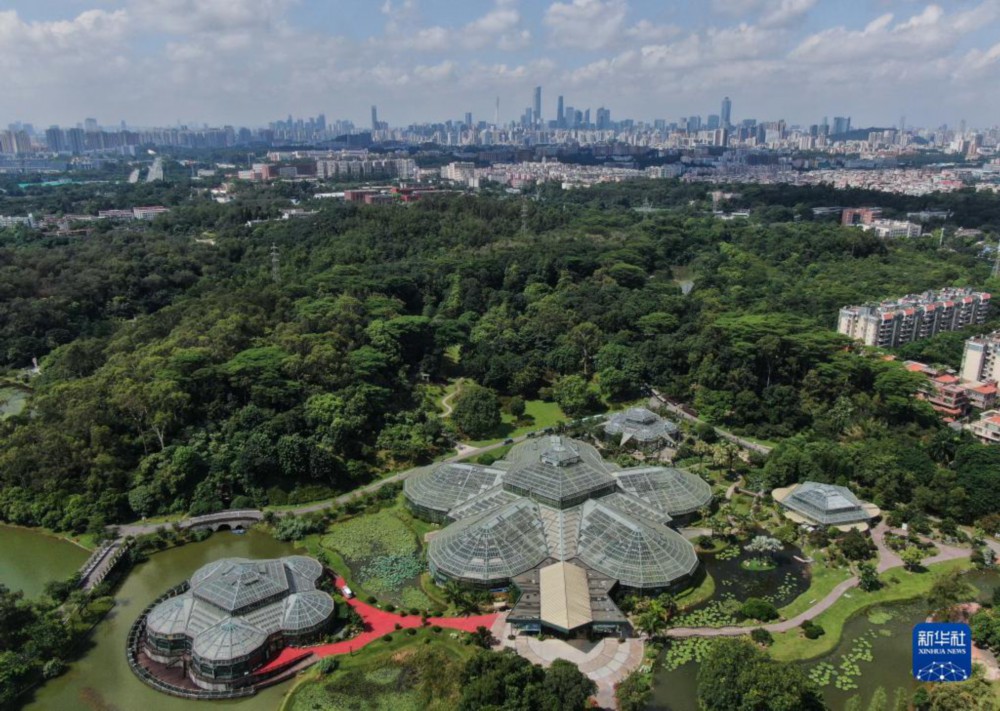 这是7月11日拍摄的华南国家植物园（无人机照片）。新华社记者 邓华 摄