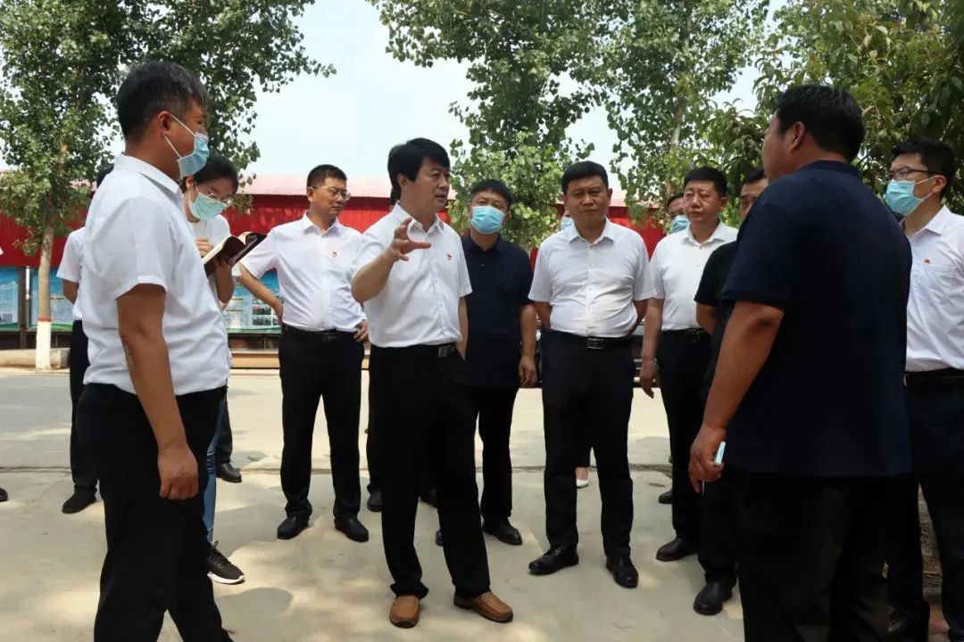 7月5日,隆尧县委书记王文玉到隆尧镇,柳行农场,山口镇,固城镇,魏家庄