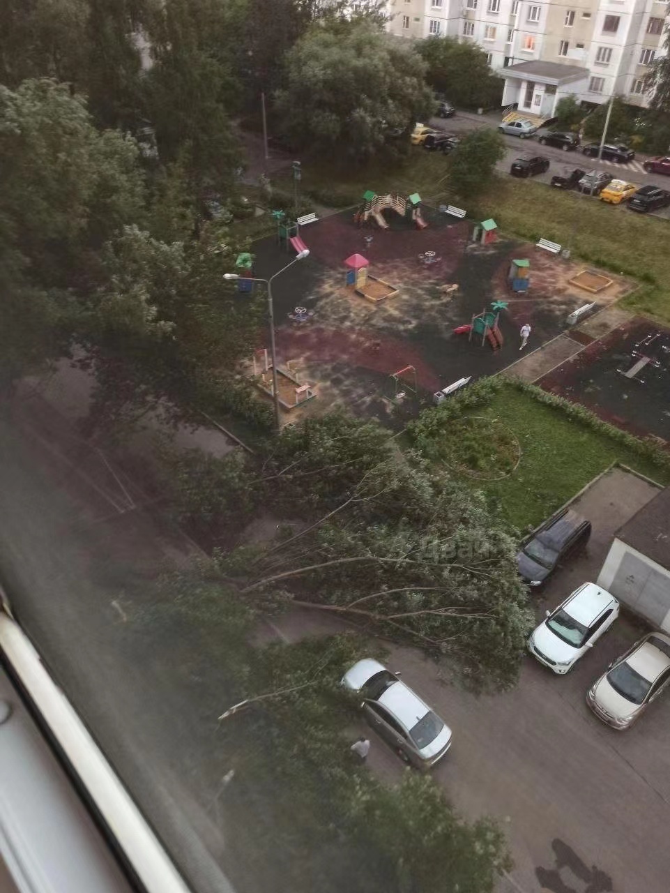 俄罗斯莫斯科遭遇雷雨天气 致1死5伤