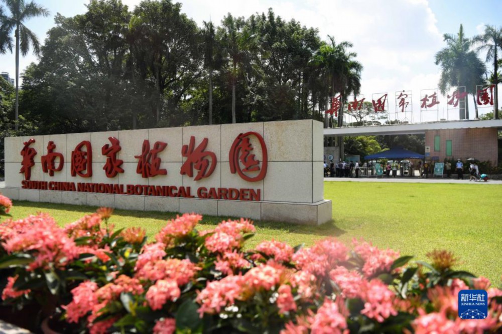 这是7月11日拍摄的华南国家植物园。新华社记者 邓华 摄