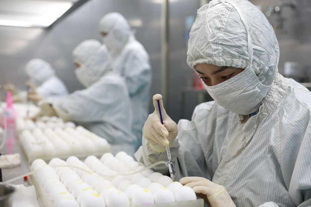 在瑞普(保定)生物药业有限公司1号活疫苗车间内,技术工人正在生产禽用