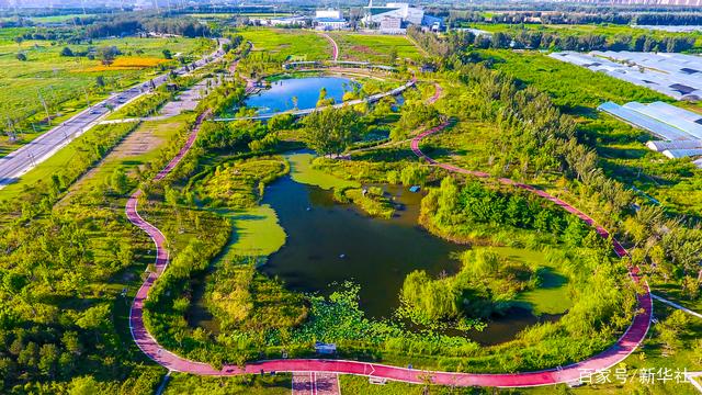 图为安南湿地全貌.大兴区生态环境局供图