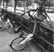 共享單車裝設欄杆 請規範化停放