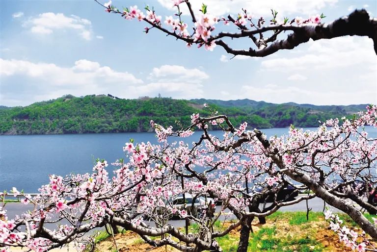 "桃树倒映在明净的水面,桃林环抱着秀丽的村庄……"宽甸县长甸镇河口