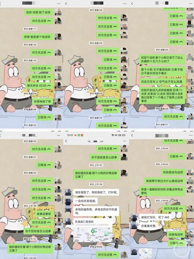 ▲7月6日零点到8点期间，刘先生曾多次联系司机李某，但其仍未将狗送到。图片来源/受访者供图