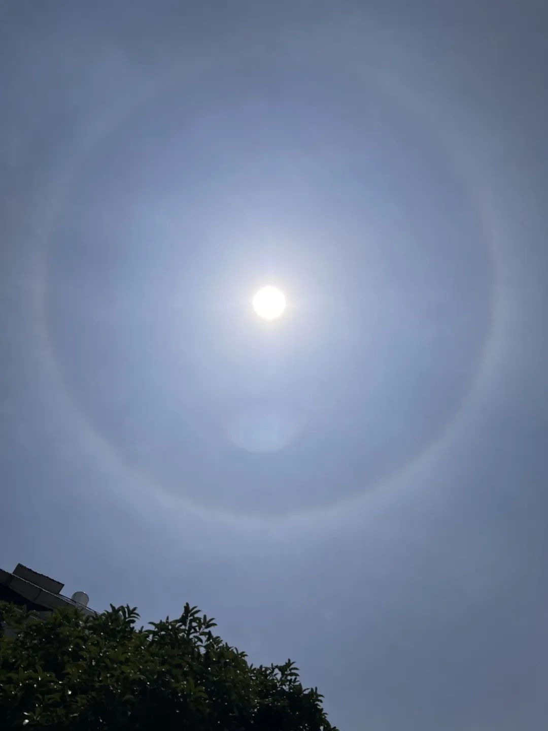 朋友圈里开始了"摄影比赛"许多市民举起手机对着太阳拍照此时此刻太阳