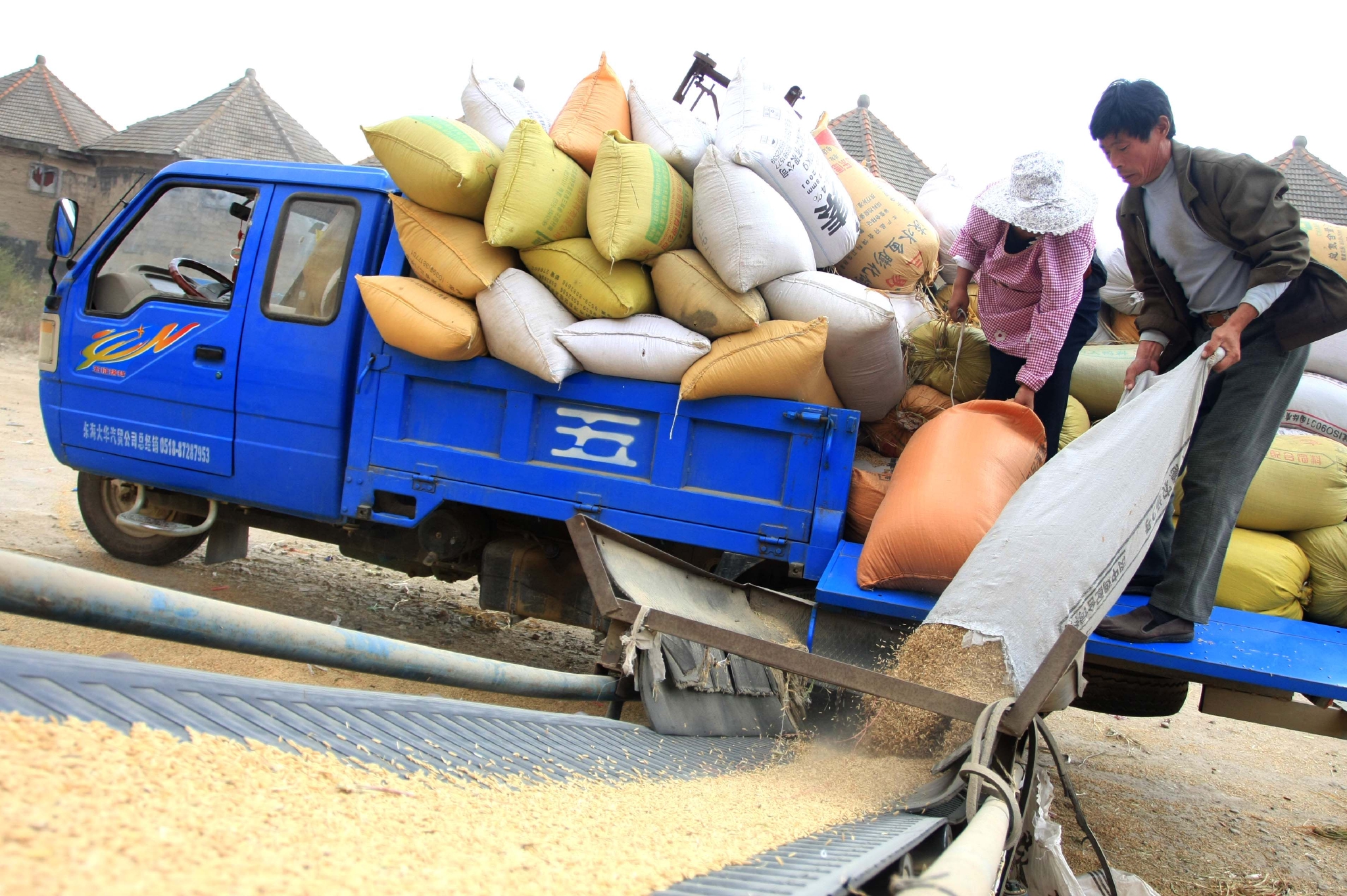 江苏连云港东海县农户正在一家粮食收储企业销售夏粮.张开虎摄