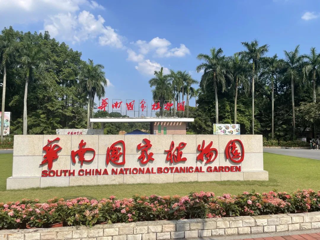 图为华南国家植物园,张晓芒摄