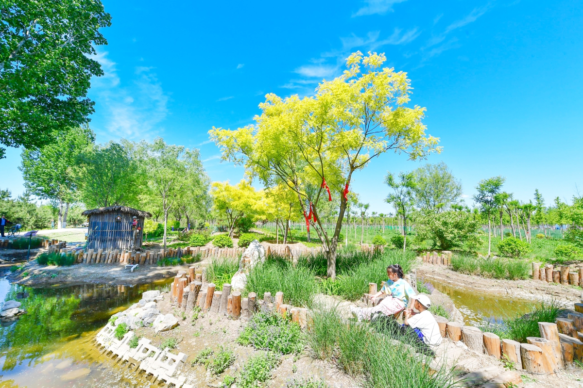 于家务乡闲置土地变身街心小公园