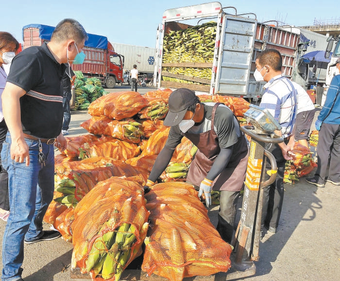 新发地鲜食玉米大量上市.本报记者 孙颖摄
