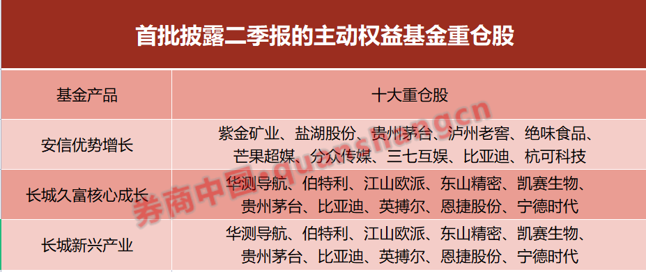 最新动向！首批权益基金二季报出炉 加仓这两大领域 十大重仓股变化明显