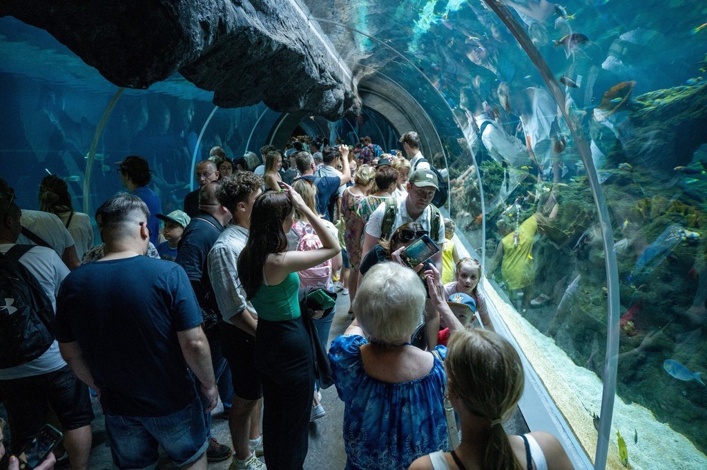 鲨鱼日来临民众游览波兰东方水族馆
