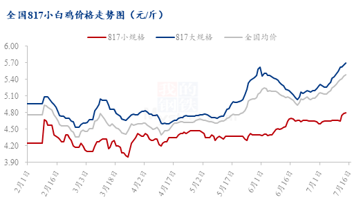 数据来源:钢联数据