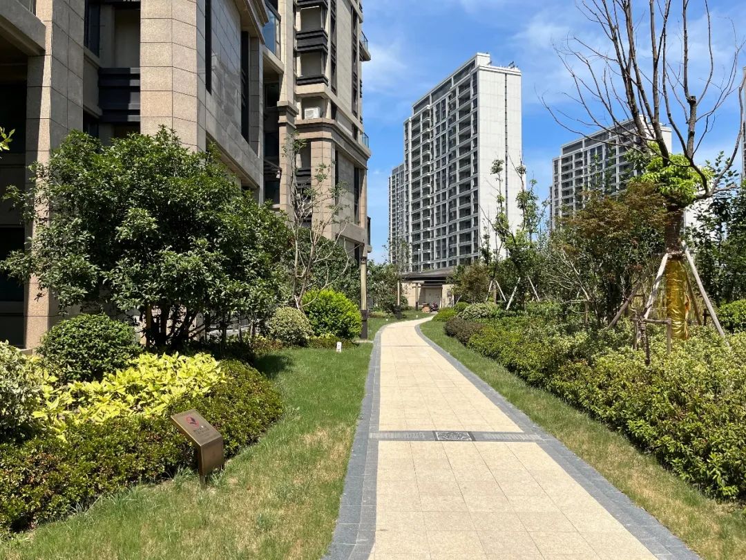 直击烂尾苏州泰禾金尊府成业主梦魇