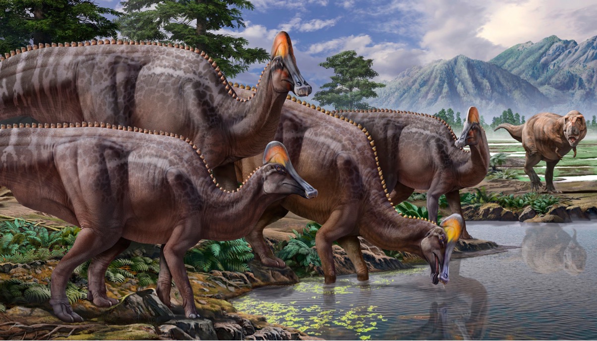 黑龙江流域白垩纪末期赖氏龙亚科恐龙获重新评估|阿穆尔_新浪财经_新