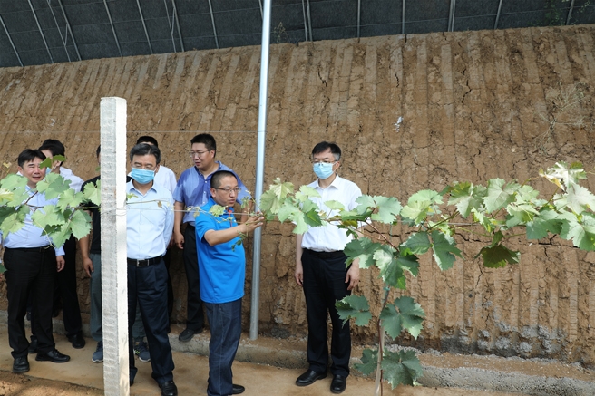 李庆赴河北省平山县调研定点帮扶工作