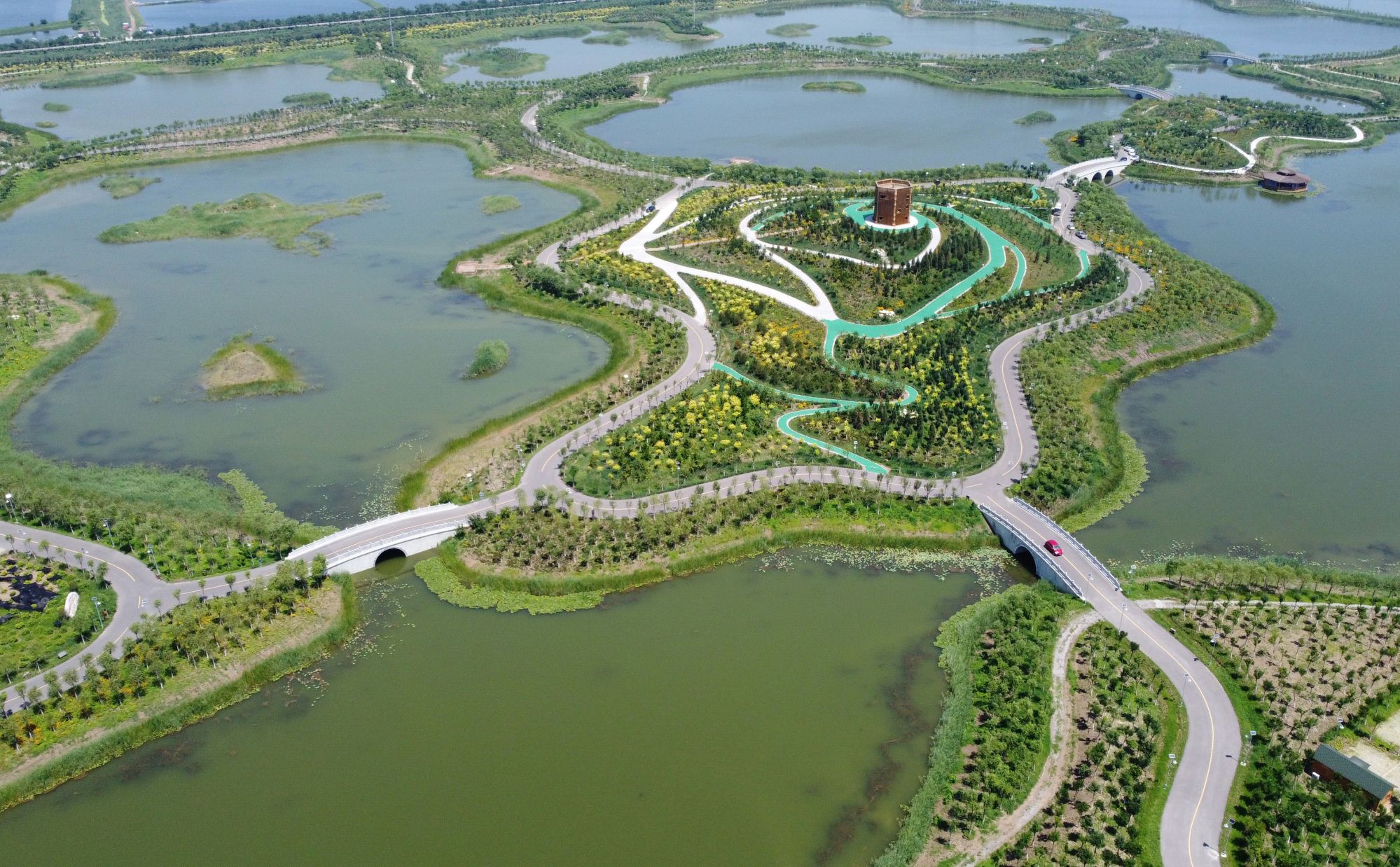 这是位于天津市西青区王稳庄镇的生态廊道一景.