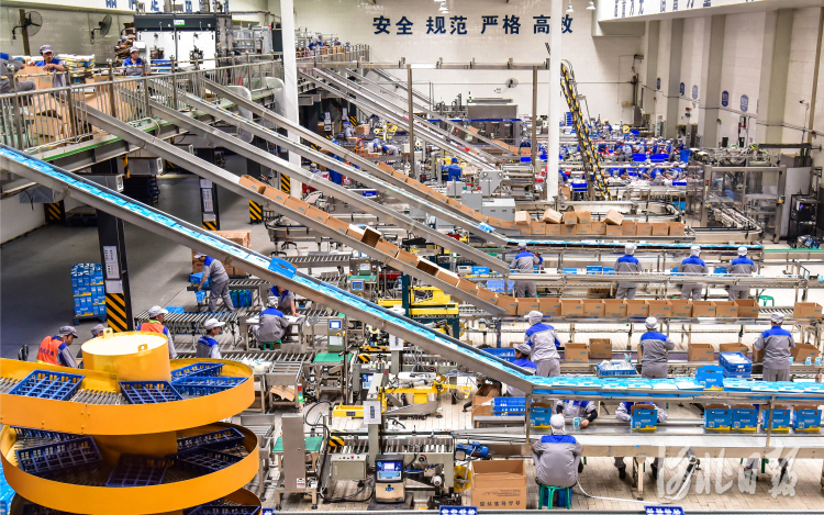 在位于石家庄市鹿泉区的君乐宝乳业集团车间,员工在生产线上进行作业.