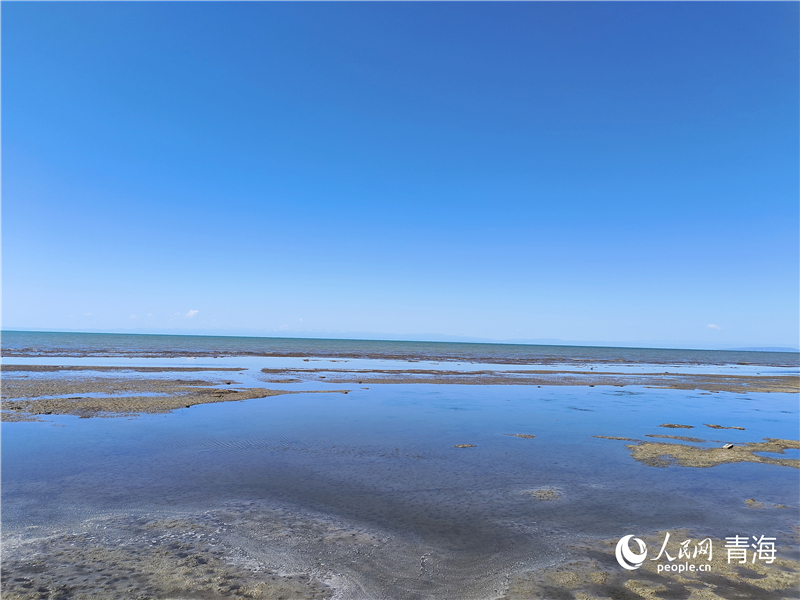青海湖仙女湾碧波荡漾水清岸绿