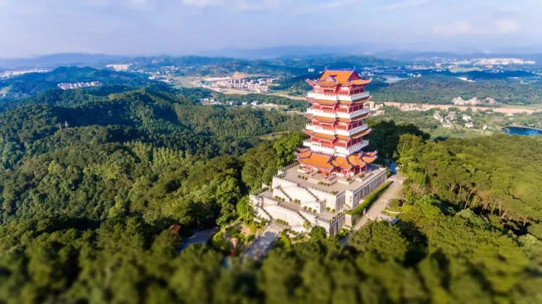 莲花山国家森林公园.资料图片