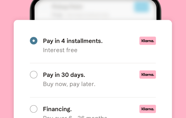Klarna 提供的先买后付结账服务 图片来源：Klarna