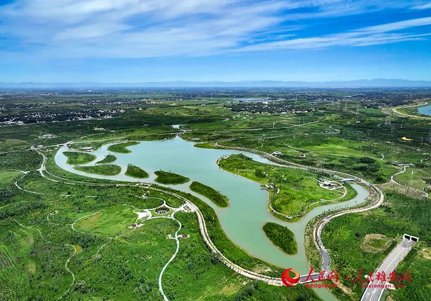 盛夏时节来雄安郊野公园探绿