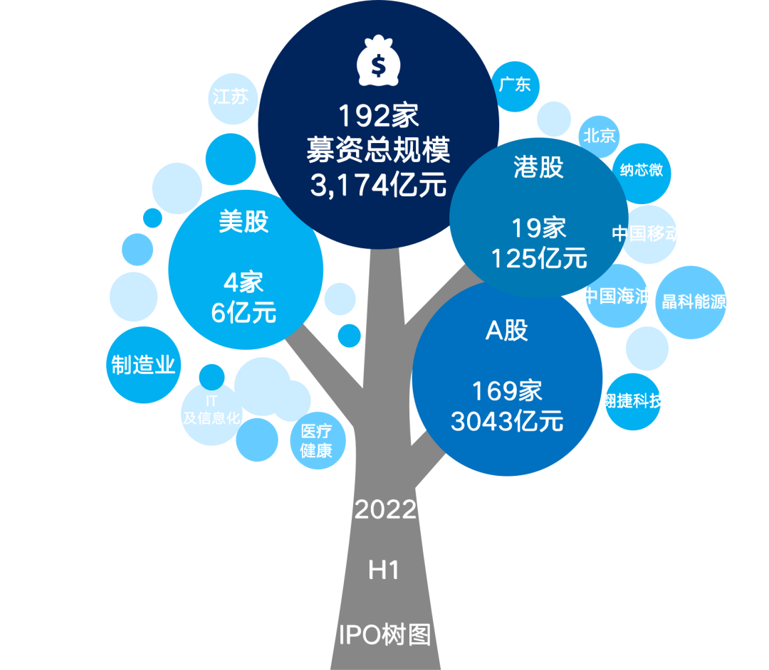 图2  2022年H1IPO概览