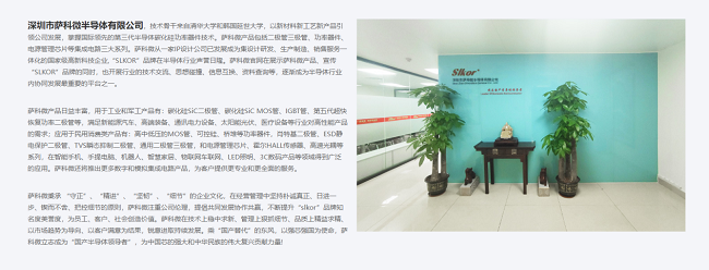 　　萨科微slkor网站内页1