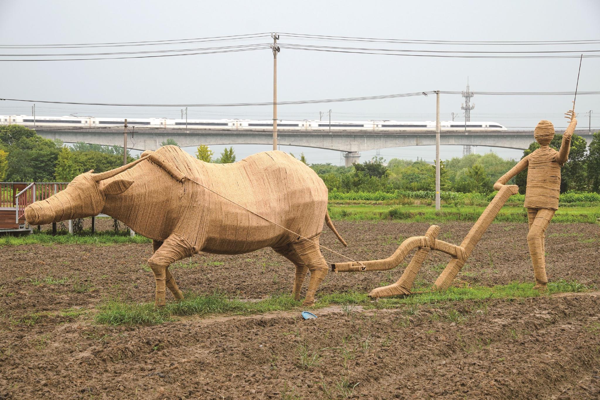 农耕文明成景观_新浪财经_新浪网