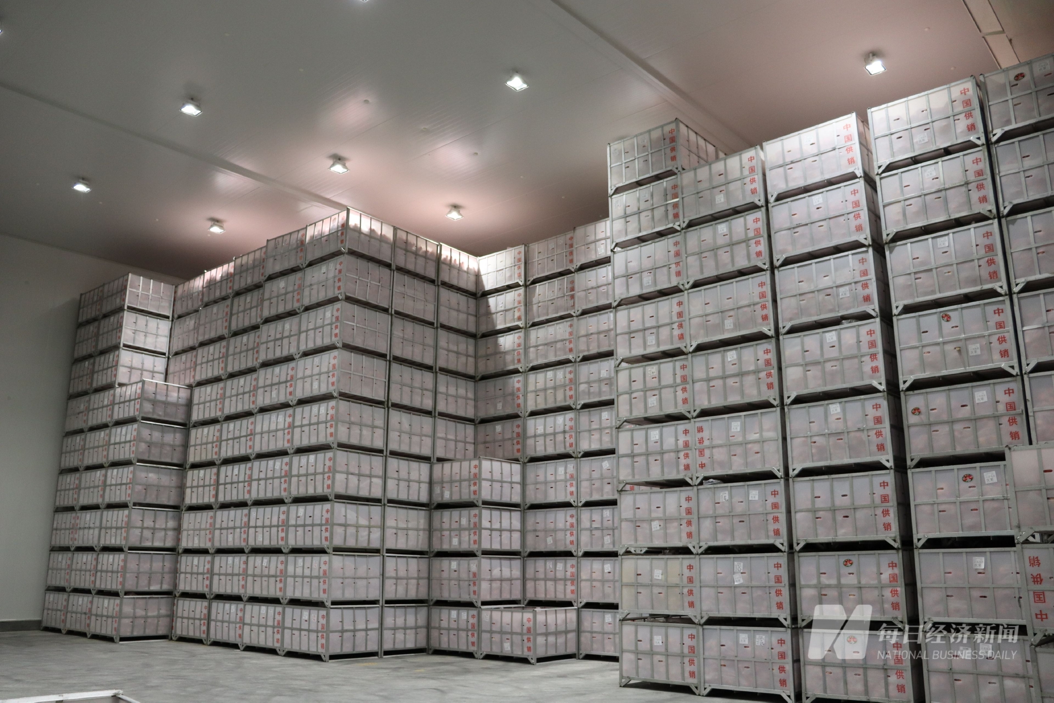 期货交割,陕西苹果新风口?