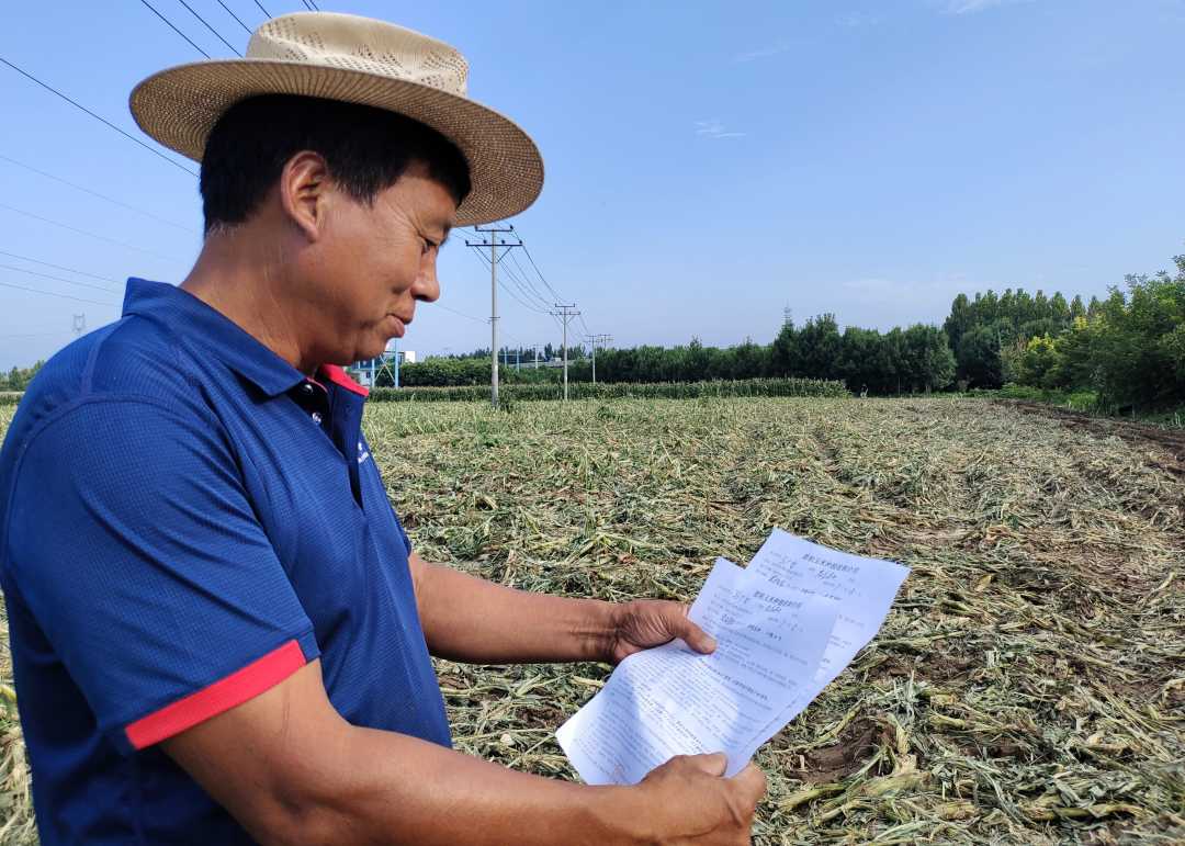 河北保定徐水区:"保姆式"订单农业让农民种上省心田