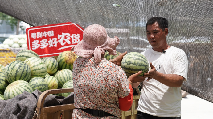 验瓜师孙红凯正在对农户拉来的西瓜挨个检验 常玙/摄