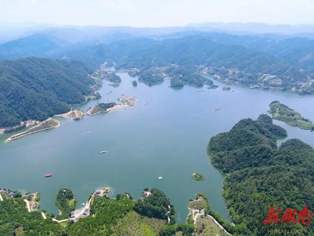 7月16日,山东游客莫先生一行来到安化县柘溪水库风景区,拿着手机不停