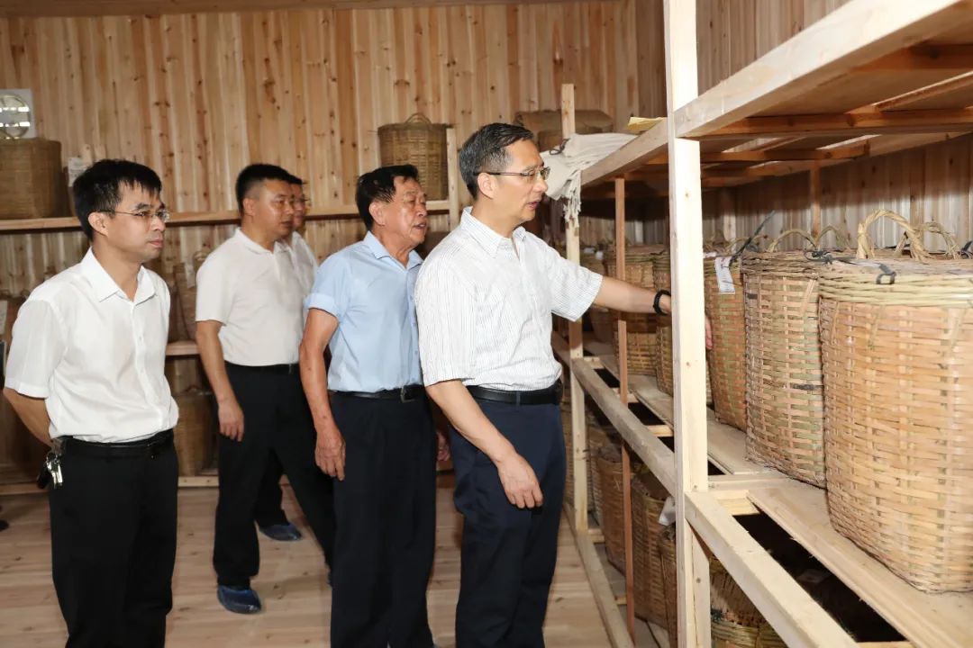 贺州市委书记李杰云到昭平县调研