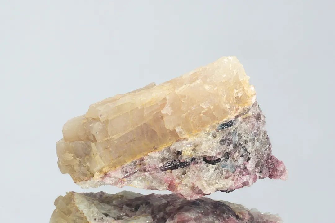 正版星力通过送100-南方周末