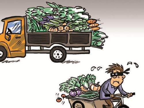 上演现实版"偷菜"_新浪财经_新浪网